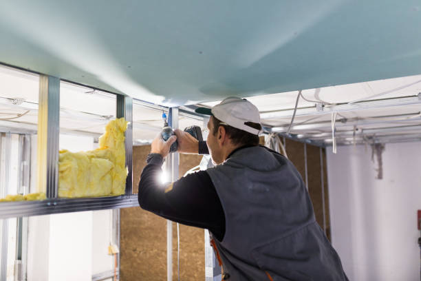 Best Attic Insulation Installation  in Eureka, IL