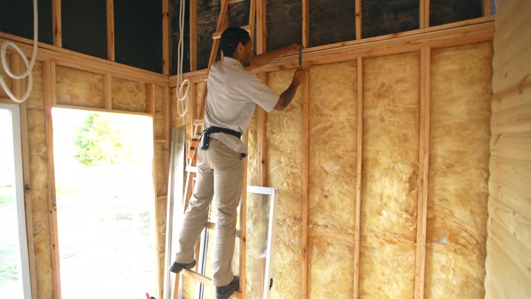 Types of Insulation We Offer in Eureka, IL