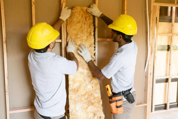 Professional Insulation in Eureka, IL